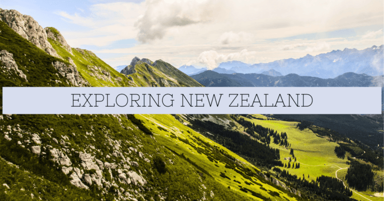 New Zealand Government Work Visa Sponsorship Jobs 2023