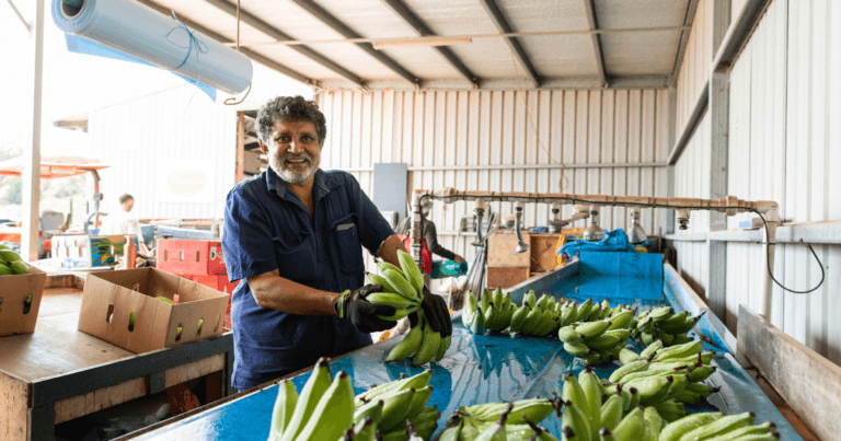 Australian Farm Working Visa Sponsorship Jobs 2024