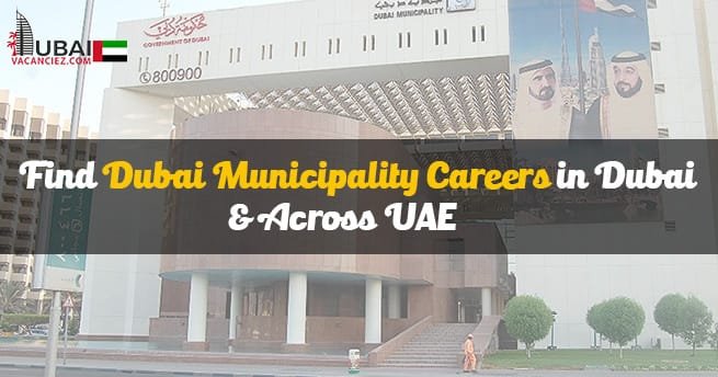 Dubai Municipality Careers 2024 Government Job Vacancies UAE