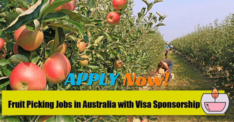 Fruit Picking Jobs in Australia 2024 – Visa Sponsorship
