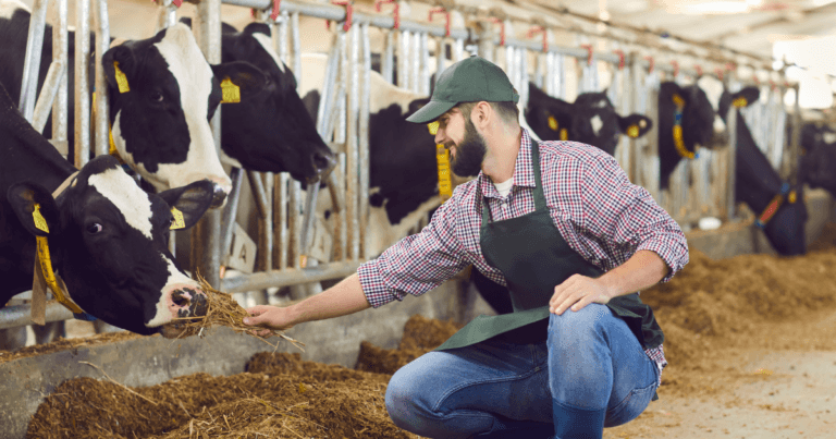 Farm Supervisor Jobs in Canada 2024 - Apply Now