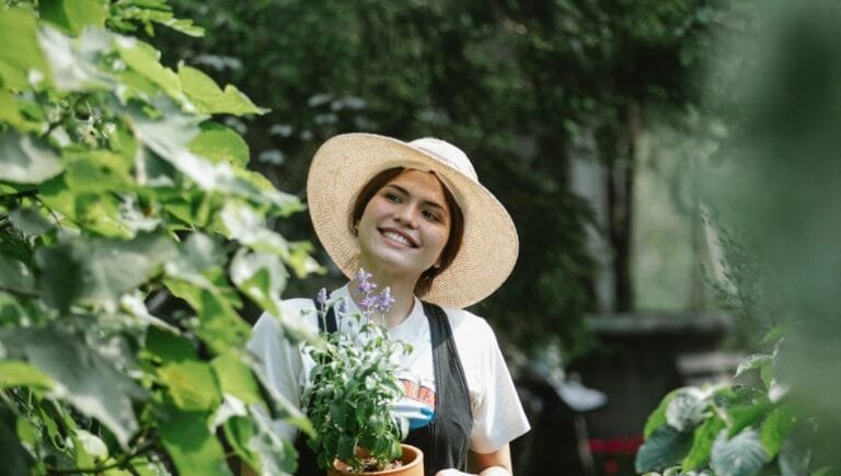 Flowers Garden Jobs in Poland 2024