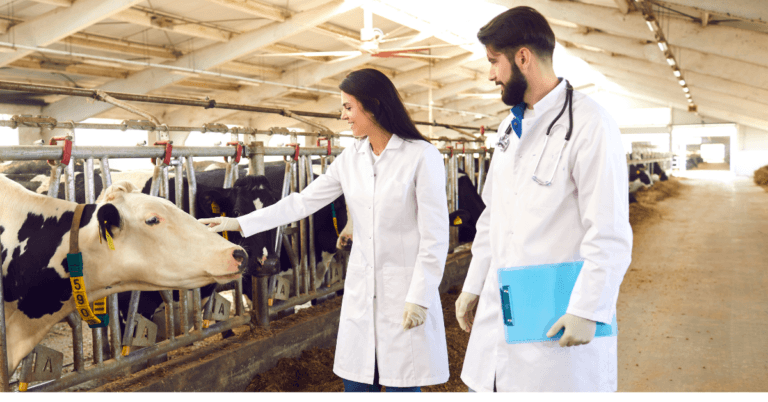 Visa Sponsorship Livestock Farming Jobs in Germany