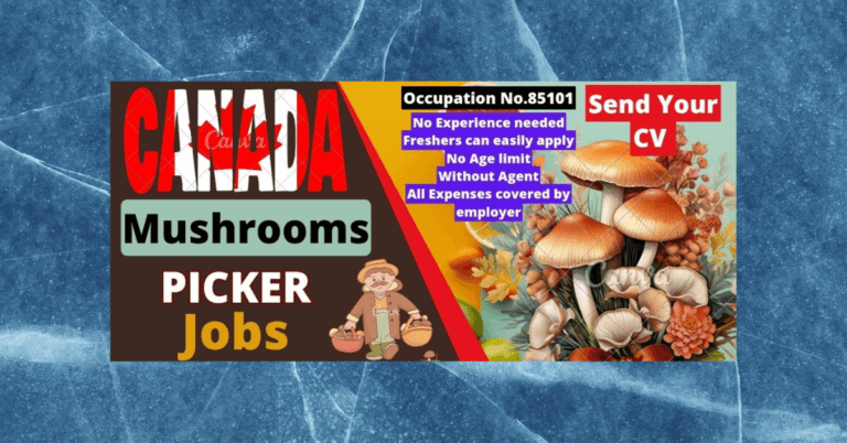 Mushroom Farm Jobs in Canada
