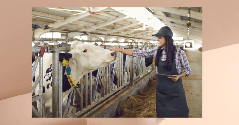 Farm Jobs in Ireland for Foreigners