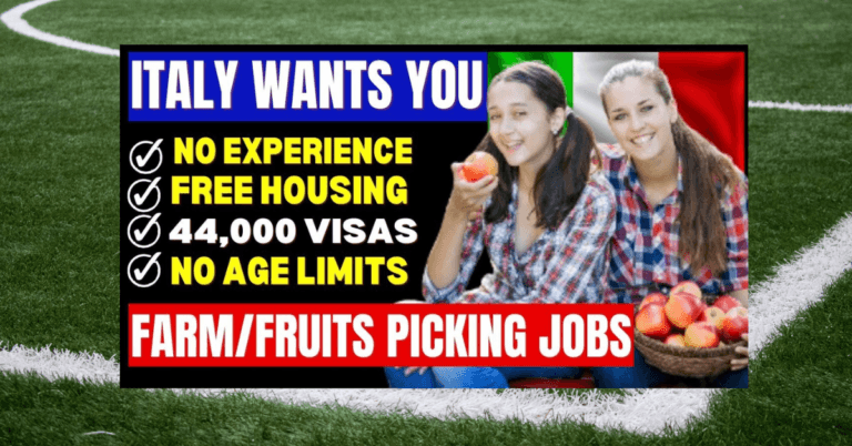 Jobs in Italy for Apple Picking and Packing Without Experience
