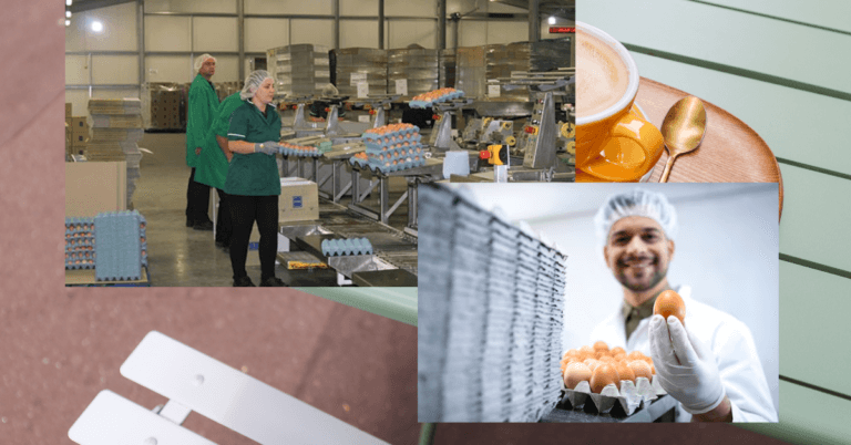 Egg packing jobs in Canada