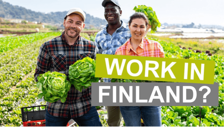 Seasonal agricultural work in Finland