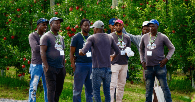 Berry Farm Jobs in Canada