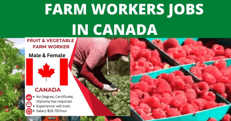 500+Fruit and Vegetable Farm Worker jobs in Canada