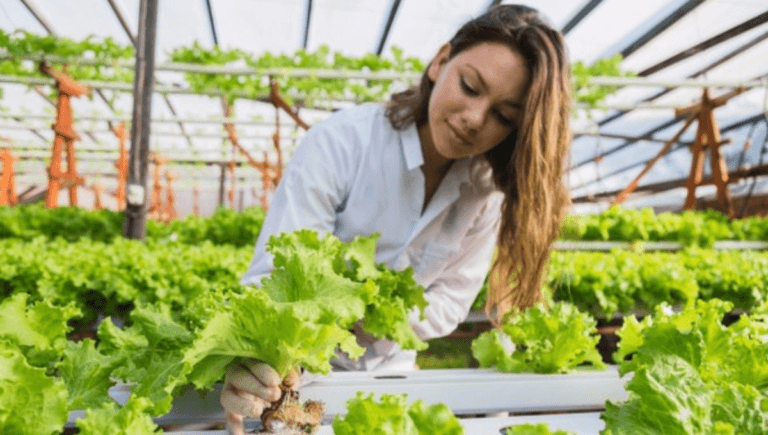 5000+ Farmer jobs in United States