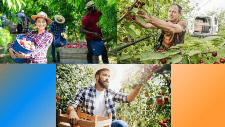 Fruit Picking Jobs in Appenzell Switzerland for Foreigners 2024