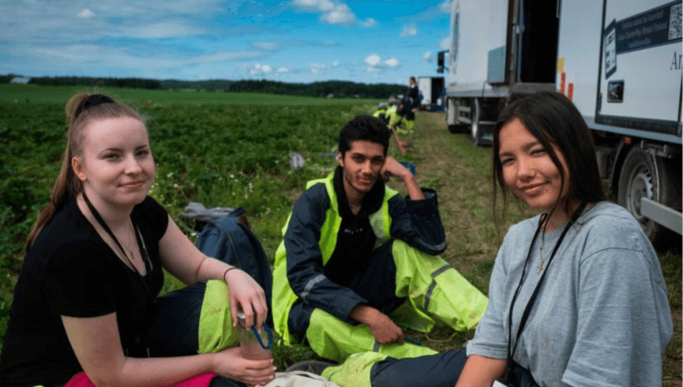400+Berry Farm Jobs in Canada 2024