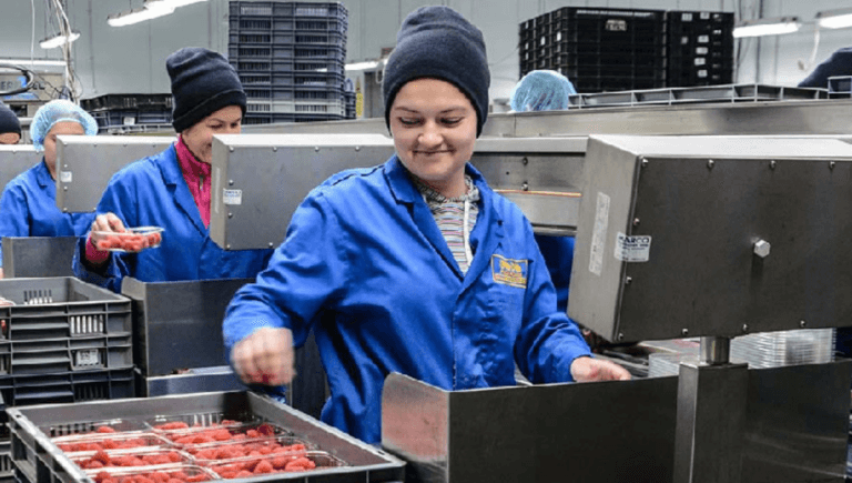 Fruit Picker Jobs, Work in England
