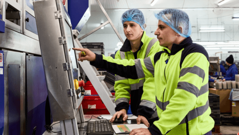 fruit and vegetable picker jobs in uk august 2024
