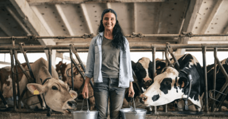 Beef Farm Worker Jobs in Australia
