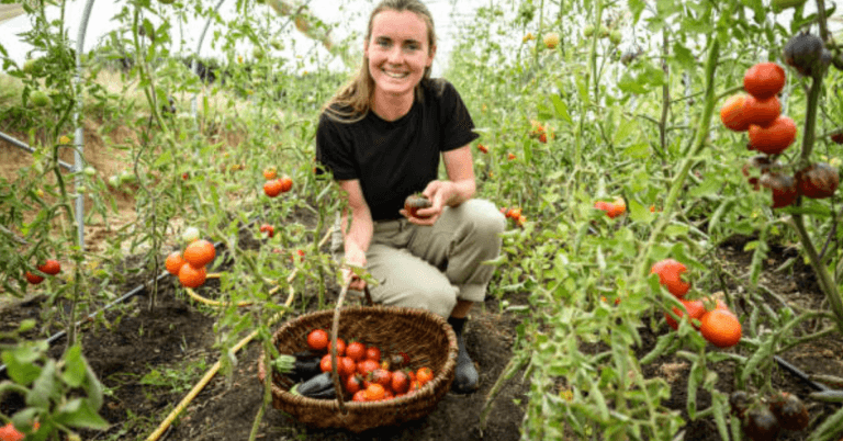 LMIA Approved Fruit Picker Jobs in Canada October 2024