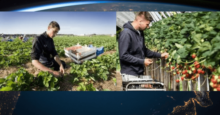993+agriculture Jobs in Netherlands October 2024