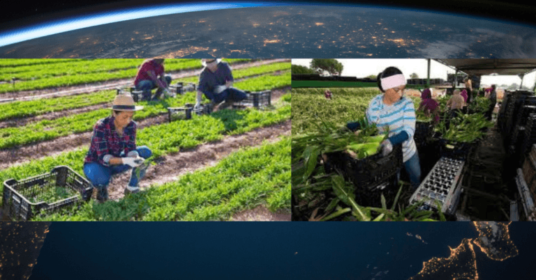 209+agriculture Jobs in Germany October 2024