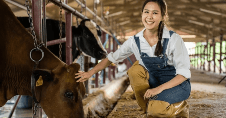 970+Dairy Farm Worker Jobs in Ireland 2024
