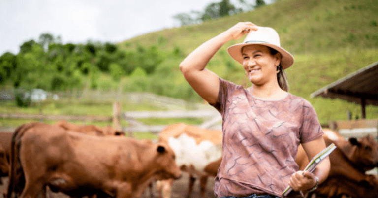 800+Cow Farm Worker Jobs in New Zealand 2024