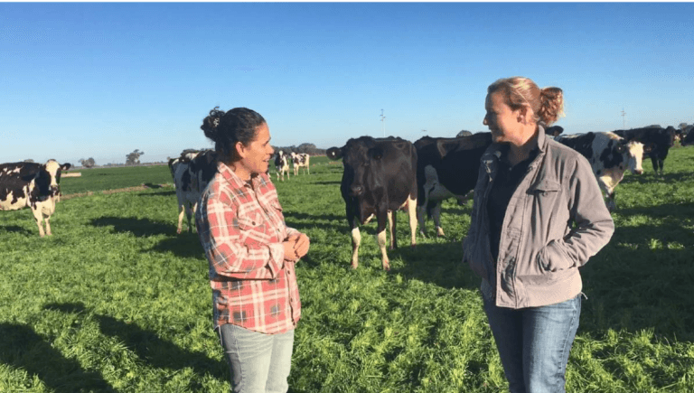 585+Cattle Operative Jobs in Canada Nov 2024