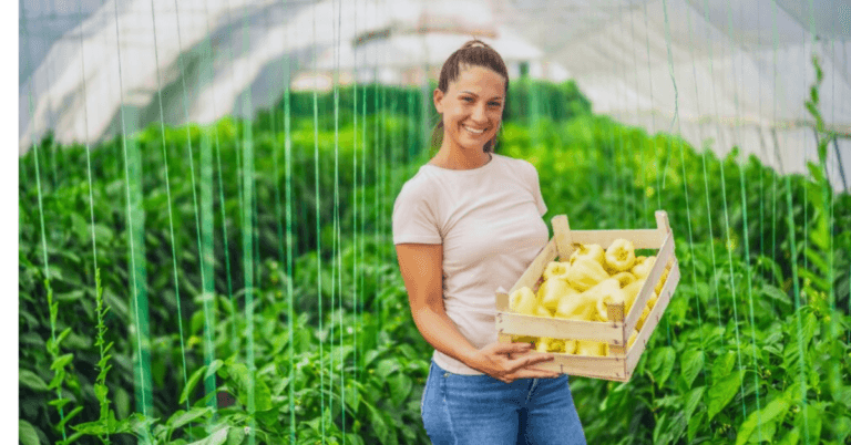 Unskilled Jobs in Scotland live in December 2024