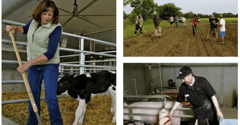 753+Farm work jobs in Canada December 2024