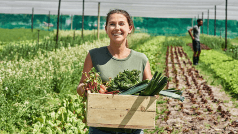 1000+Agriculture Jobs and Careers in the USA Dec 2024