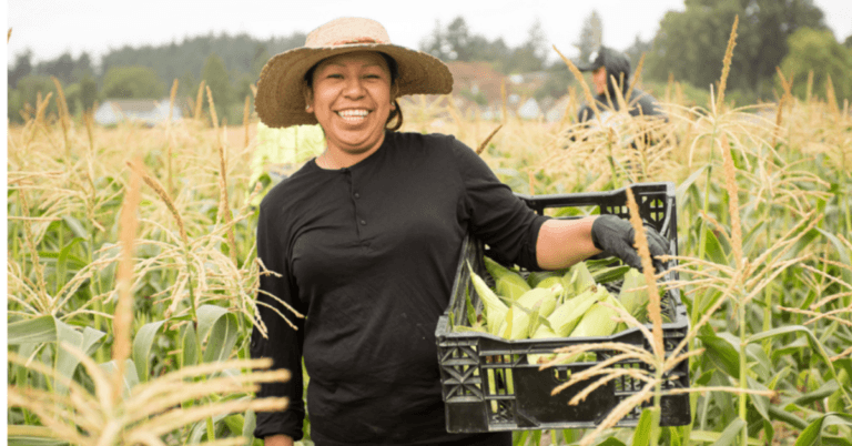 American Agriculture Farming jobs Dec 2024