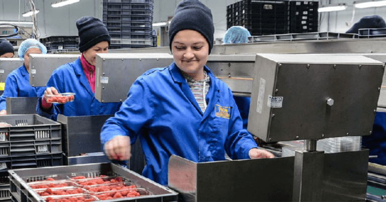 366+Fruit Picker jobs in United Kingdom