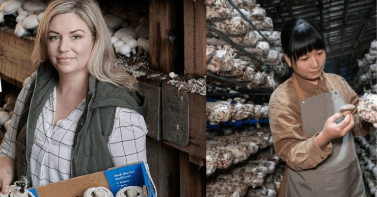 Mushroom Farm Worker 50+Jobs in Canada Jan 2025