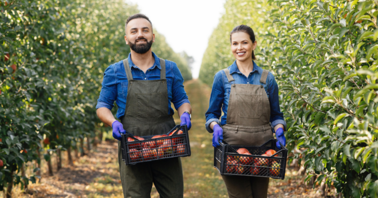 Fruit Picker Jobs in UK with Work Visa 2025