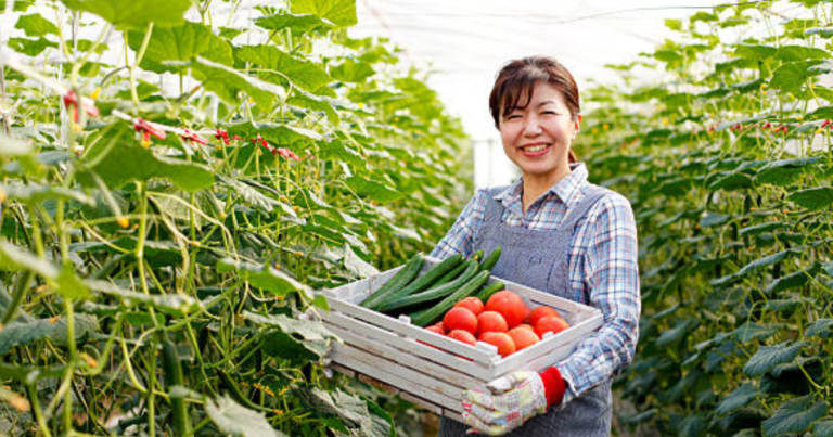 Farm workers Jobs In Japan For Foreigners