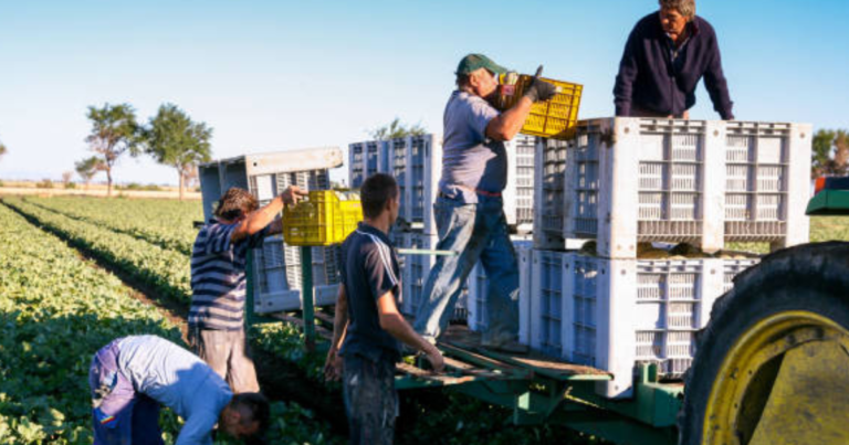 288+agriculture Jobs in Italy March 2025