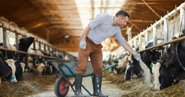 331+farm worker Jobs in Canada March 2025