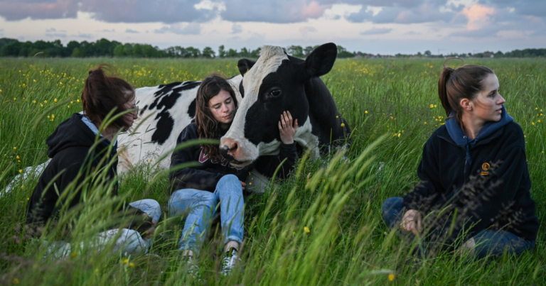 Germany Jobs in Livestock Farming
