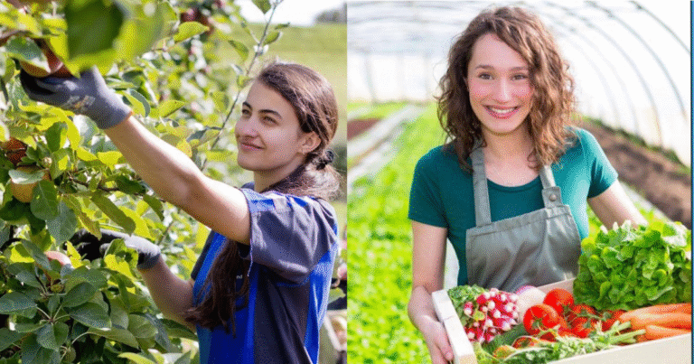 Farm Helper Jobs in Canada 2025