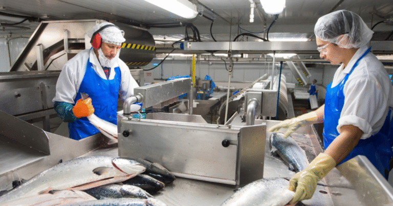 Fish Packing Jobs in Poland April 2025