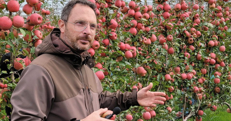 Fruit Picking and Packing Jobs in Italy April 2025