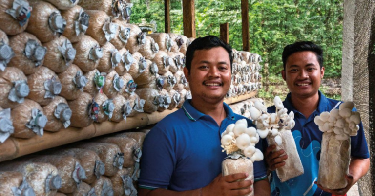 Mushroom Farm Worker 300+Jobs in Luxembourg for Foreigners 2025