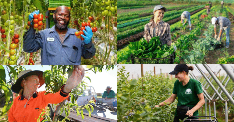 Fruit Farm 150+Jobs in Germany 2025