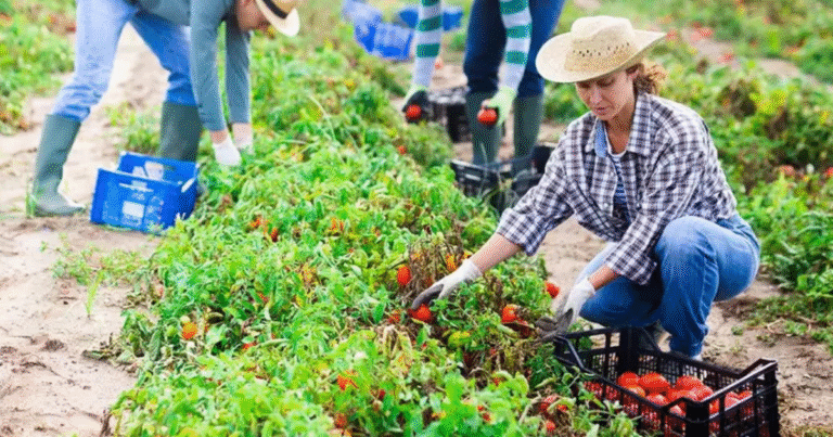 Agriculture Jobs in Germany May 2025