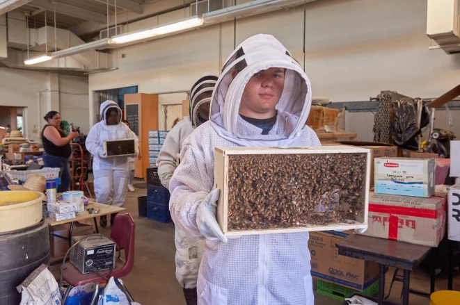 Bee Farm Worker Jobs in Australia