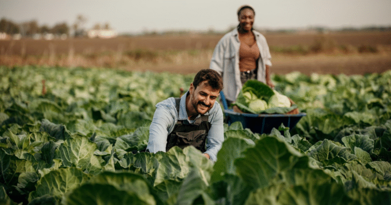 200+Farm Jobs in Switzerland for Foreigners