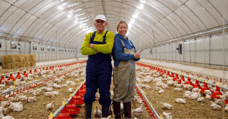 Poultry Farm Jobs in France June 2025