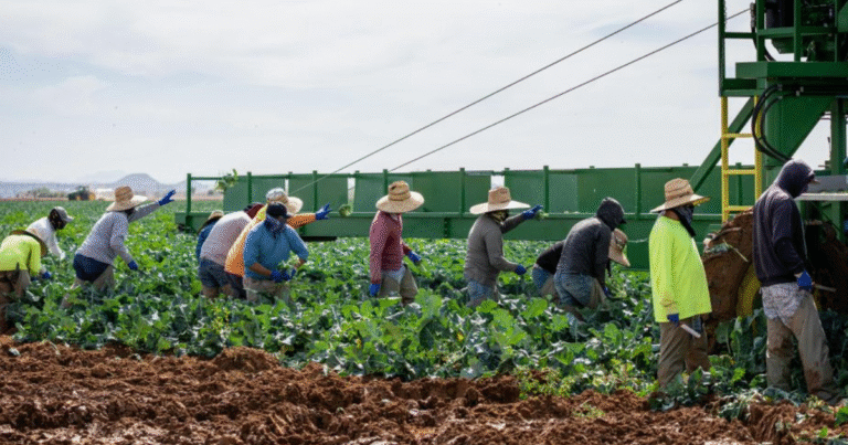 General Farm Worker Harvesting Jobs in Canada June 2025