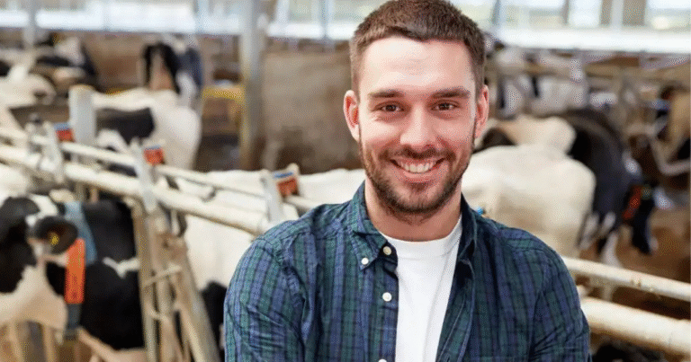 Beef Farm Worker 200+Jobs in Australia 2025
