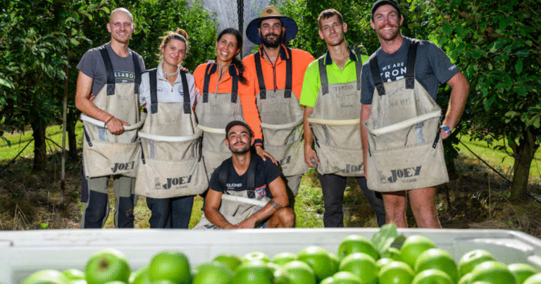 Fruit Farm Workers Jobs in USA June 2025