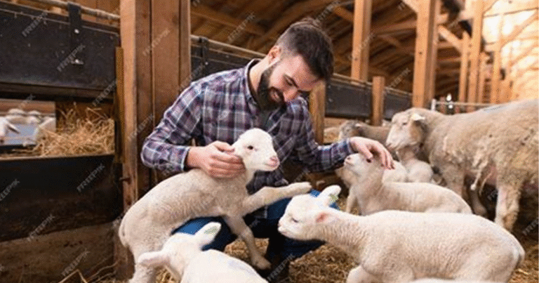Livestock Dairy Farm Worker jobs in Canada June 2025